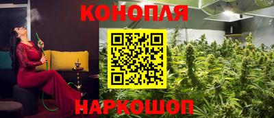 jwh Будённовск