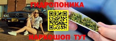 jwh Будённовск