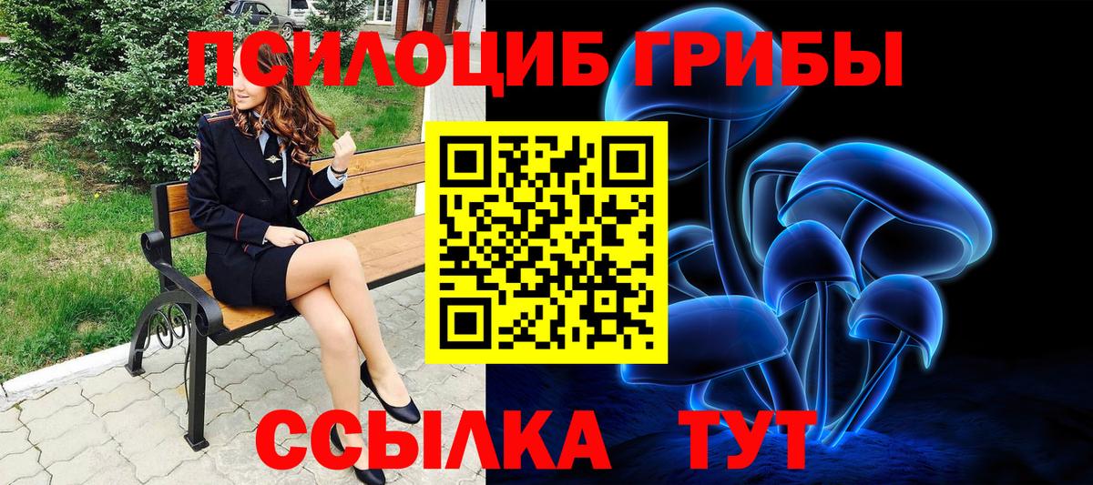 Псилоцибиновые грибы мухоморы  Галлюциногенные грибы Psilocybine cubensis  купить наркотики цена  Кунгур  Вход с VPN 